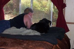 7th pic... Daddy opened the window so shi could look and smell outside, her favorite thing...